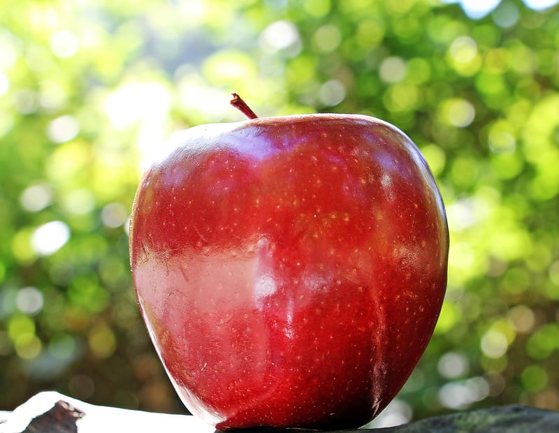 Fairy Tale Fruits